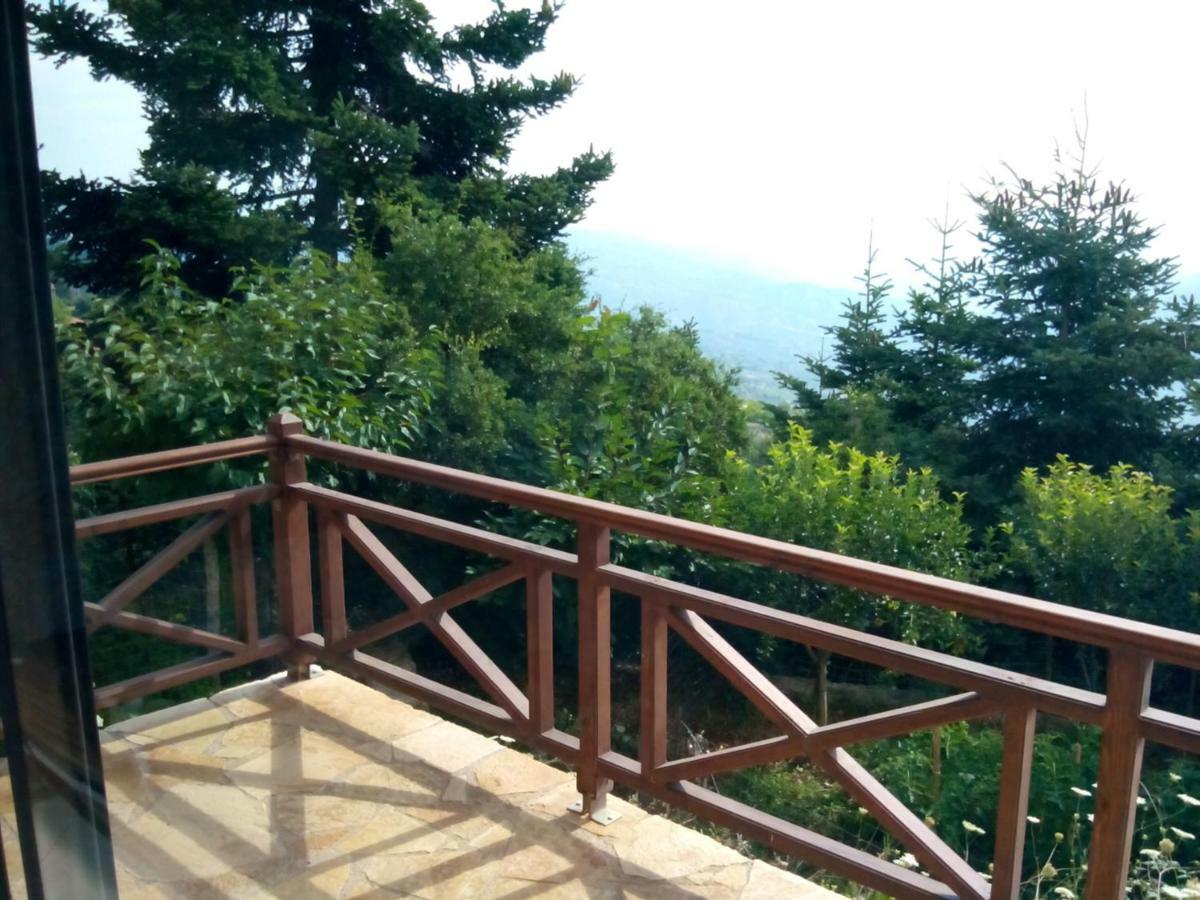 Elatos Cozy Studio Ano Trikala Ngoại thất bức ảnh
