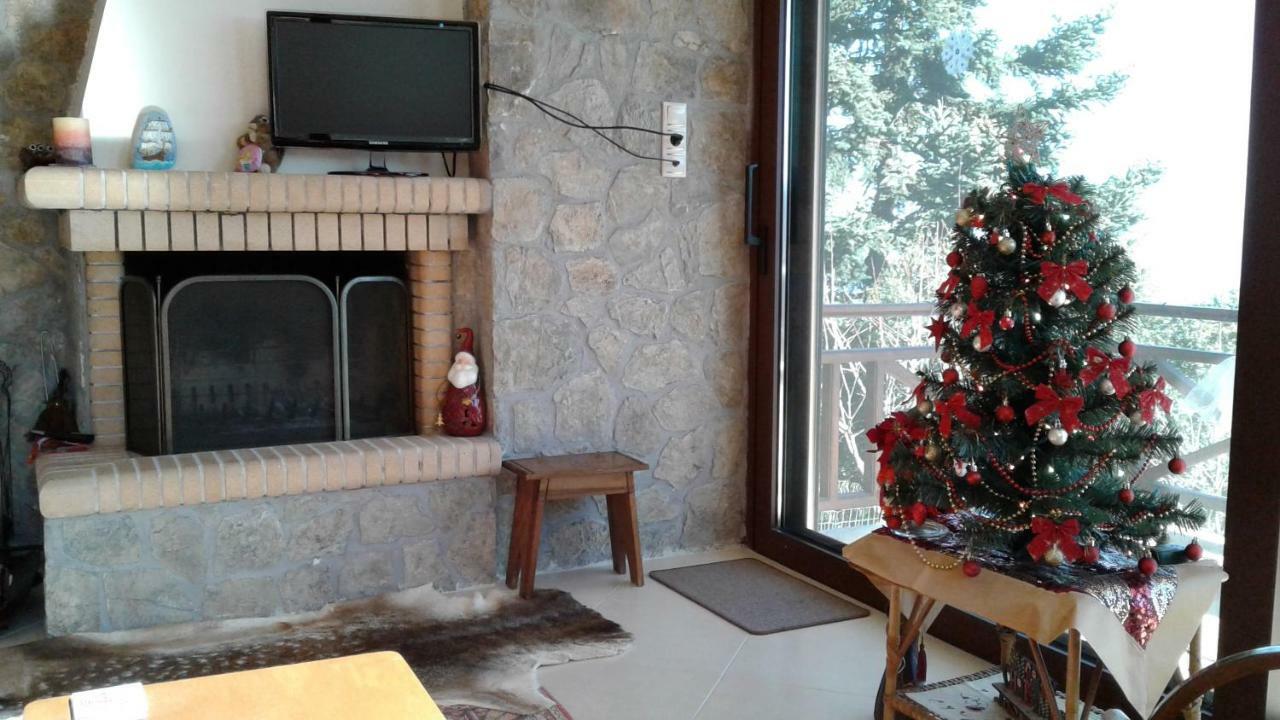 Elatos Cozy Studio Ano Trikala Ngoại thất bức ảnh