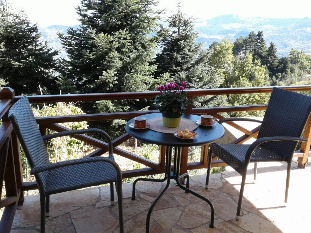 Elatos Cozy Studio Ano Trikala Ngoại thất bức ảnh