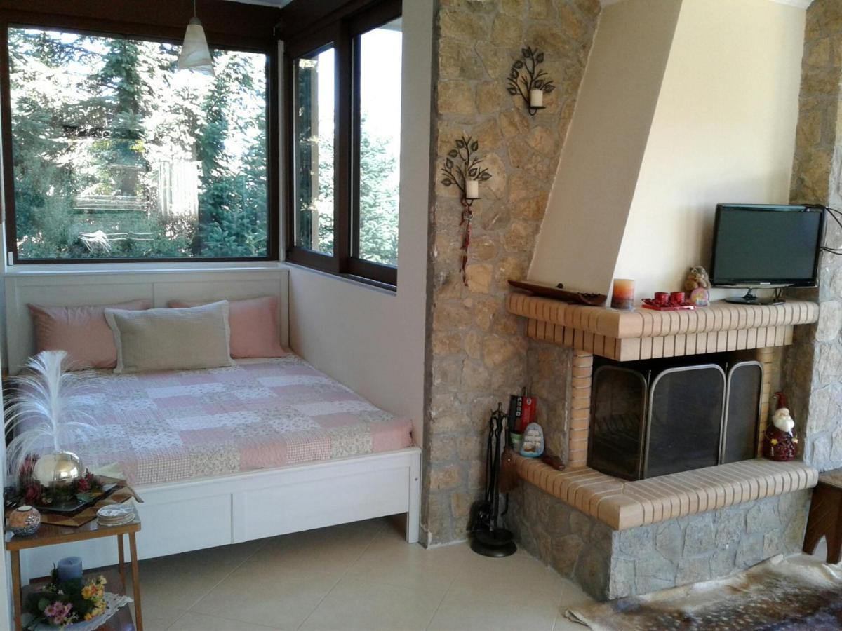 Elatos Cozy Studio Ano Trikala Ngoại thất bức ảnh